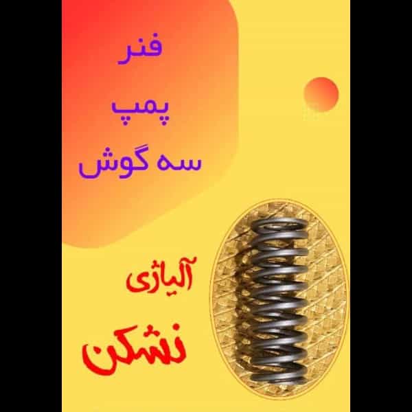 1703755333373.webp