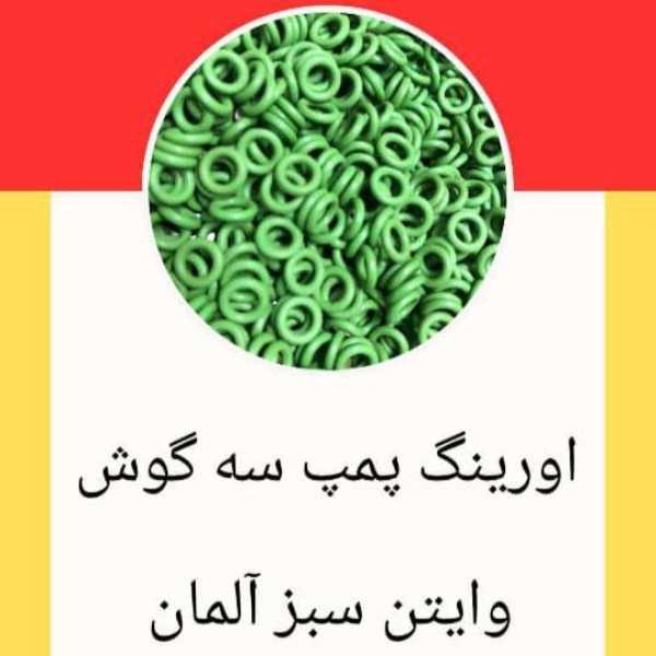 1703755750767.webp