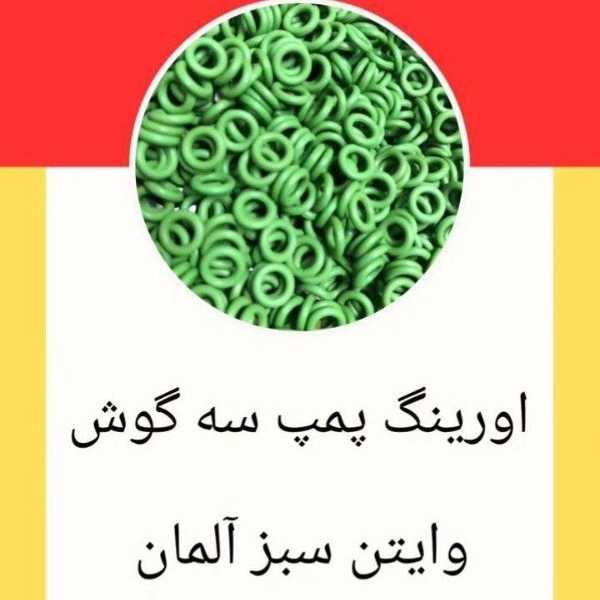 1699772072279.webp