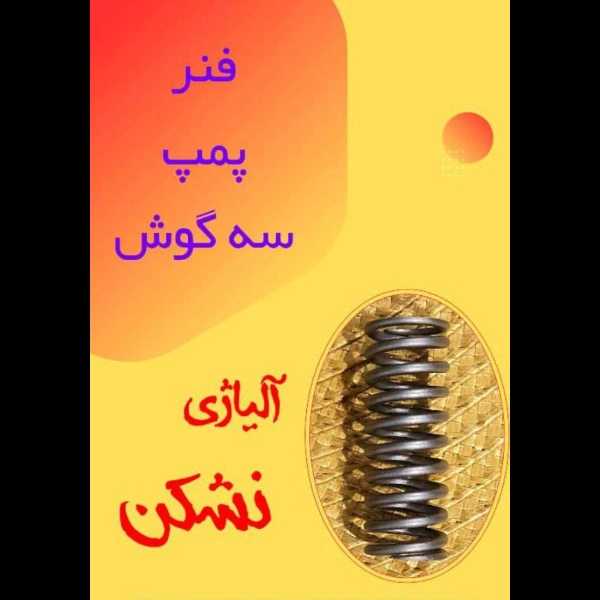 1703755333373.webp